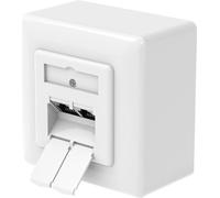 Hama Netzwerkdose, CAT-6a, 10 Gbit/s, geschirmt, 2 Ports, Aufputz-/Unterputz (00300029)