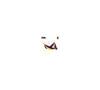 Hamac de camping en toile 1 place - O'Camp - Jaune et violet - Dimensions 270 x 130 cm