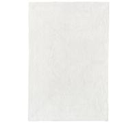 HAMID Tapis Nansa Intérieur/Extérieur en Pet Recyclé - Lavable et Imperméable - Écologique & Durable - Idéal pour Terrasse, Jardin ou Salon (230x160cm, Ivoire)