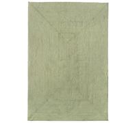 HAMID Tapis Nansa Intérieur/Extérieur en Pet Recyclé - Lavable et Imperméable - Écologique & Durable - Idéal pour Terrasse, Jardin ou Salon (230x160cm, Vert)