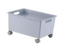 Hamwesh Bodes de Rangement, Rouleau à Rouleau Mobile Durable PP Boîte de Rangement Haute capacité Construction Robuste Style Minimaliste Cabinet à Portable pour les Livres Chaussures Stationnery