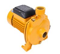 Hamwesh Pompe Centrifuge, Pompe à Eau Auto-amorçante de 750 W avec Sortie de 1 Pouce et Conception à Double Roulement à Billes, Pompes de Surpression Silencieuses (Prise UE 220V)
