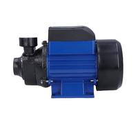 Hamwesh Pompe de Puits Solaire 230 W, Pompe d'irrigation Submersible en Fonte, Tête de 25 M, de Transfert d'eau à Double Roulement à Billes pour l'irrigation de Pelouse de Jardin, de Puits