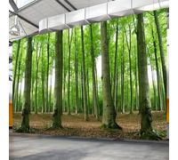 HAN MAN XIU Papier peint 3D autocollant représentant une forêt et des peupliers, idéal pour décorer le fond du canapé du salon ou pour la décoration intérieure.