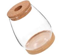 HANABASS Vase à Composition en Verre Transparent avec Support en Bambou, Décoration Naturelle pour Fleurs et Plantes, pour Patio et Intérieur, Présent Élégant
