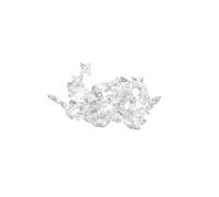 Hanami Applique/Plafonnier Transparent