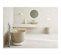 Hansa Hansastela 57252073 chromé , mitigeur bain au sol, inverseur de câble, saillie 210mm