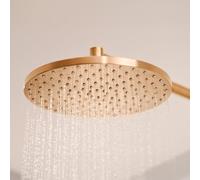 Hansa Viva Douche de tête, 1 jet, 4426020081,