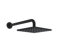 Hansa Viva Douche de tête, 1 jet, 4426024033,