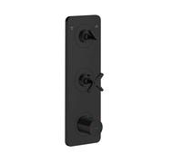 hansgrohe AXOR Citterio E module thermostat encastré 38 x 12 pour 2 consommateurs, 36703670, Couleur: noir mat