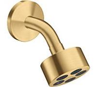 hansgrohe Axor One douche de tête 48490250 avec bras de douche, optique or brossé