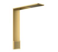 hansgrohe AXOR ShowerComposition module de douche 110/220, 1jet, avec douchette dépaule, saillie 424mm, 12593990, Couleur: Optique en or poli