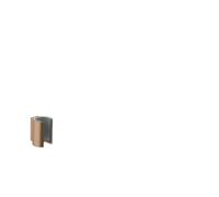 hansgrohe AXOR Starck support de pomme de douche, 27515310