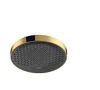 hansgrohe douche de Rainfinity 26231990 1jet, montage mural / plafond, optique or poli