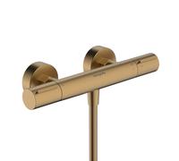 hansgrohe Ecostat Element Mitigeur thermostatique de douche en applique, 13346140,