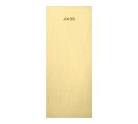 Hansgrohe hansgrohe Axor MyEdition Plaque 200x82mm, laiton brossé, métal Quantité:1