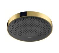 Hansgrohe hansgrohe Pomme de douche Rainfinity 250 EcoSmart 1 jet, plafond/mur, 9 l/min, or poli opt Quantité:1