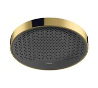 Hansgrohe hansgrohe Pomme de douche Rainfinity 360 1j, murale/plafond, optique or poli Quantité:1