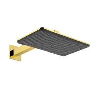 Hansgrohe Douche de tête Raindance Alive Q 21 x 34 cm 2 jets or poli 24550990