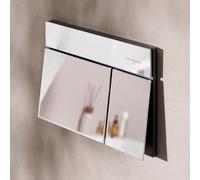 Hansgrohe Plaque de déclenchement pour WC iFrame Element E 66003000