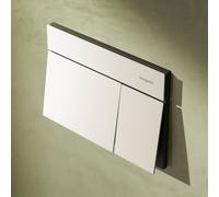 hansgrohe iFrame Element E Plaque de déclenchement pour WC, 66003700,