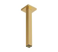 hansgrohe raccord de plafond E, 30 cm, 24339990, Couleur: Optique en or poli