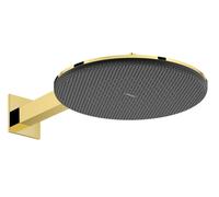 Pommeau Raindance douche Alive S 24541990 2 jets économes en eau avec bras hansgrohe douche, EcoSmart, aspect or poli