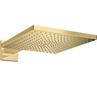 Pommeau de douche hansgrohe Raindance E 26239990 Bras de douche 390 mm, 1 jet, 9 l/min, aspect or poli