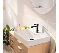 Hansgrohe Mitigeur de lavabo sur pied Rebris S Noir 72519670