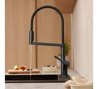 Hansgrohe Mitigeur de cuisine Talis Select M54 PowderSpray douchette extractible chrome noir brossé