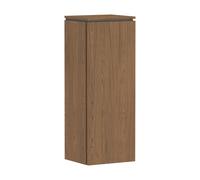 hansgrohe Xilesa E Armoire mi-haute, 1 porte, charnières à gauche, 400x350x1065mm, 54283550, Couleur: Chêne Cachemire
