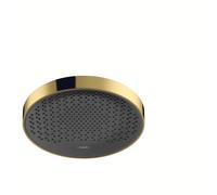 hansgrown Rainfinity douche de plafond 360 1jet, 26231990, Couleur: Optique en or poli