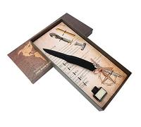 Haofy Ensemble de Stylos à Plume de Style Européen avec Plumes en Acier Inoxydable pour une écriture de Calligraphie élégante (SFDPS025001 noir)