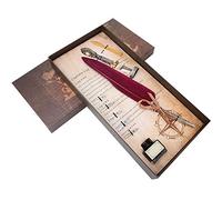 Haofy Ensemble de Stylos à Plume de Style Européen avec Plumes en Acier Inoxydable pour une écriture de Calligraphie élégante (SFDPS025006 vin rouge)
