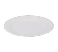 Haofy Lot de 30 Assiettes Rondes en Papier Jetables, Jouets de Bricolage pour Enfants, sans Danger pour L'usage Alimentaire et les Activités D'artisanat, (Assiette en carton ronde de 8 pouces (30