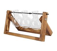 Haofy Support de Vase de Jardinière en Verre de Bureau avec Support en Bois, Décoration de Bureau à Domicile au Design Vintage, Parfait pour L'arrangement Floral, la Cuisine, Le café (Casier rétro +