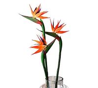 HAOSHICS Lot de 6 oiseaux paradisiaques artificiels Strelitzia en soie pour la maison, le bureau, la décoration de table de mariage (orange, grand-2)