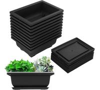 Happysnow Lot de 10 pots d'entraînement pour bonsaï avec plateau en plastique - Pour jardin, maison, balcon - 16,5 x 12 cm