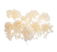 Happyyami Fleur d'hortensia séchée Naturelle 1 Set avec pétales pour Loisirs créatifs et confettis de Mariage Vintage