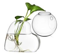 Happyyami Jardinières Murales Support Mural Résistant la Décoloration en Verre Borosilicate Lot de 2 pour Plantes D'intérieur pour Décoration Murale et Jardinage Intérieur
