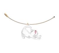 Happyyami Porte-clés Capsule Transparent pour Rangement de Poils de Chat en Abs, Organiseur Créatif et Compact pour Voyages et Souvenirs d'animaux