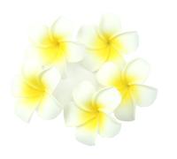 Haptian 5Pieces Plumeria Hawaiian Mousse Fleur De Frangipanier Décoration De Noce en Épingle À Cheveux(Jaune Clair)