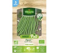 Haricot nain filet sans fil signal bio 5M Vilmorin