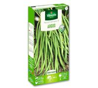 Haricot Nain Vert Argus