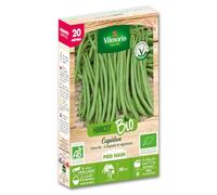 Haricot Nain Vert Cupidon - 20 m - BIO