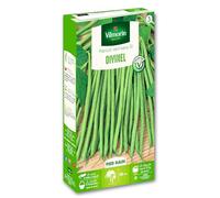 Haricot Nain Vert Divinel