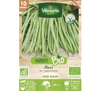 Haricot Nain Vert Maxi - 10 m - BIO