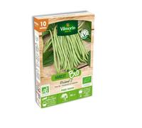 Haricot Nain Vert Oxinel 2-10 m - BIO