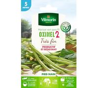 Haricot Nain Vert Oxinel 2-5 m