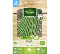 Haricot Nain Vert Signal - 5 m - BIO
